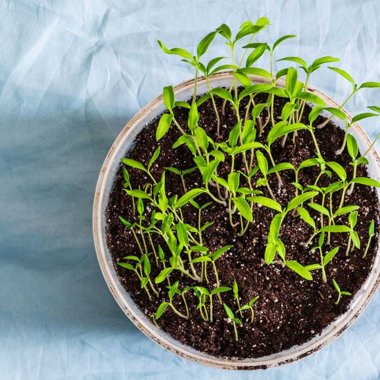 Koogan Plastics Koogan plastics